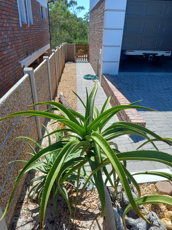 2 Bedroom Property for Sale in Albertinia Western Cape